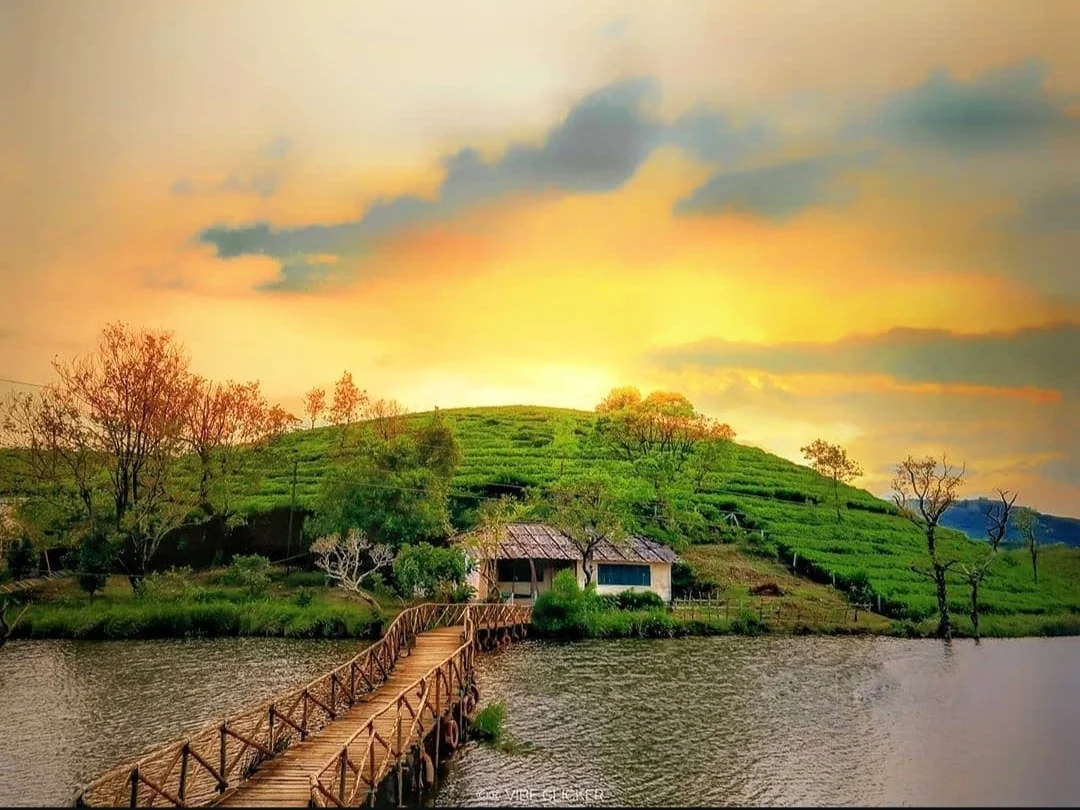 Vagamon Gateway to the Wild