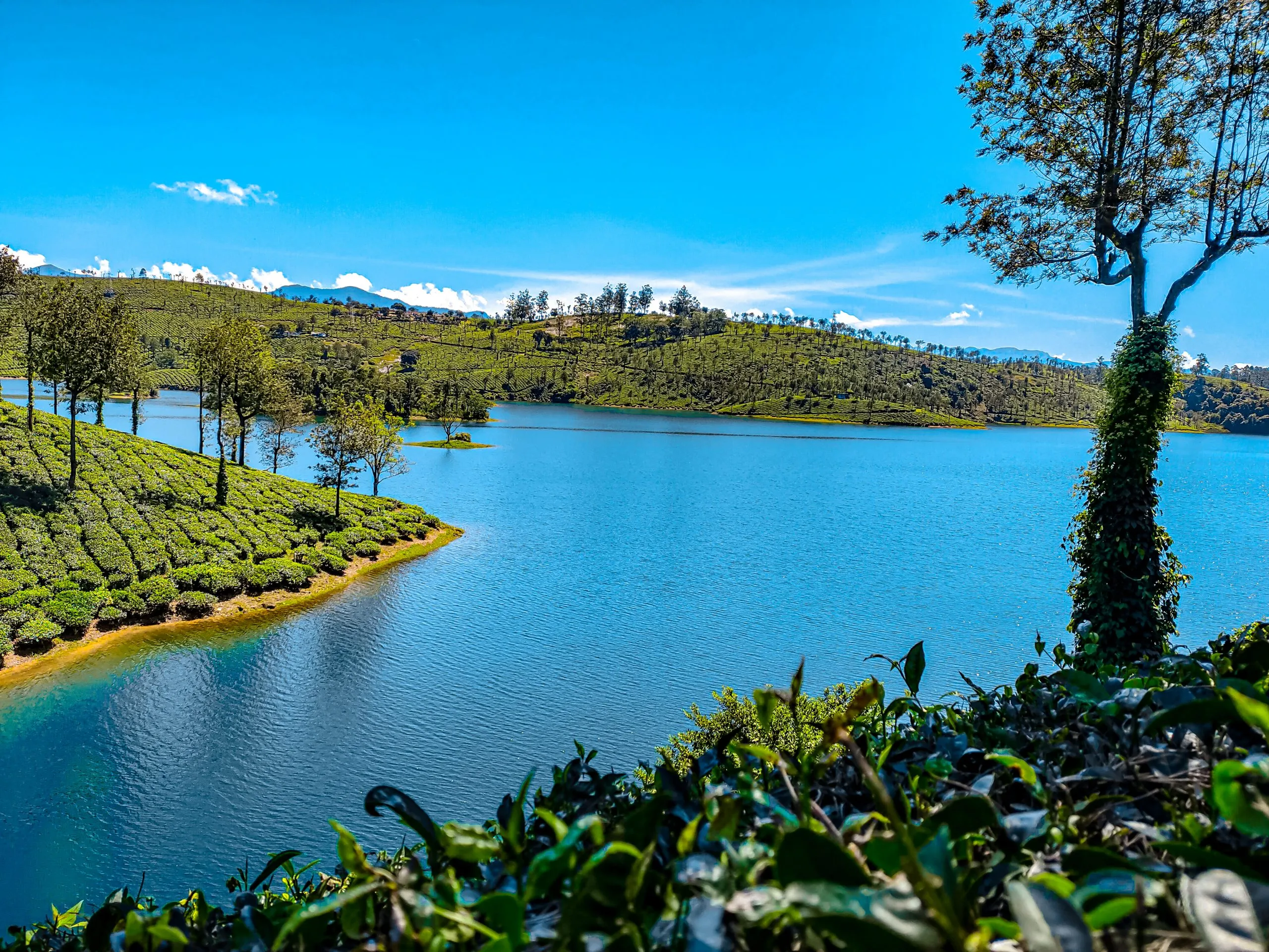 Valparai Scenic Hill Retreat
