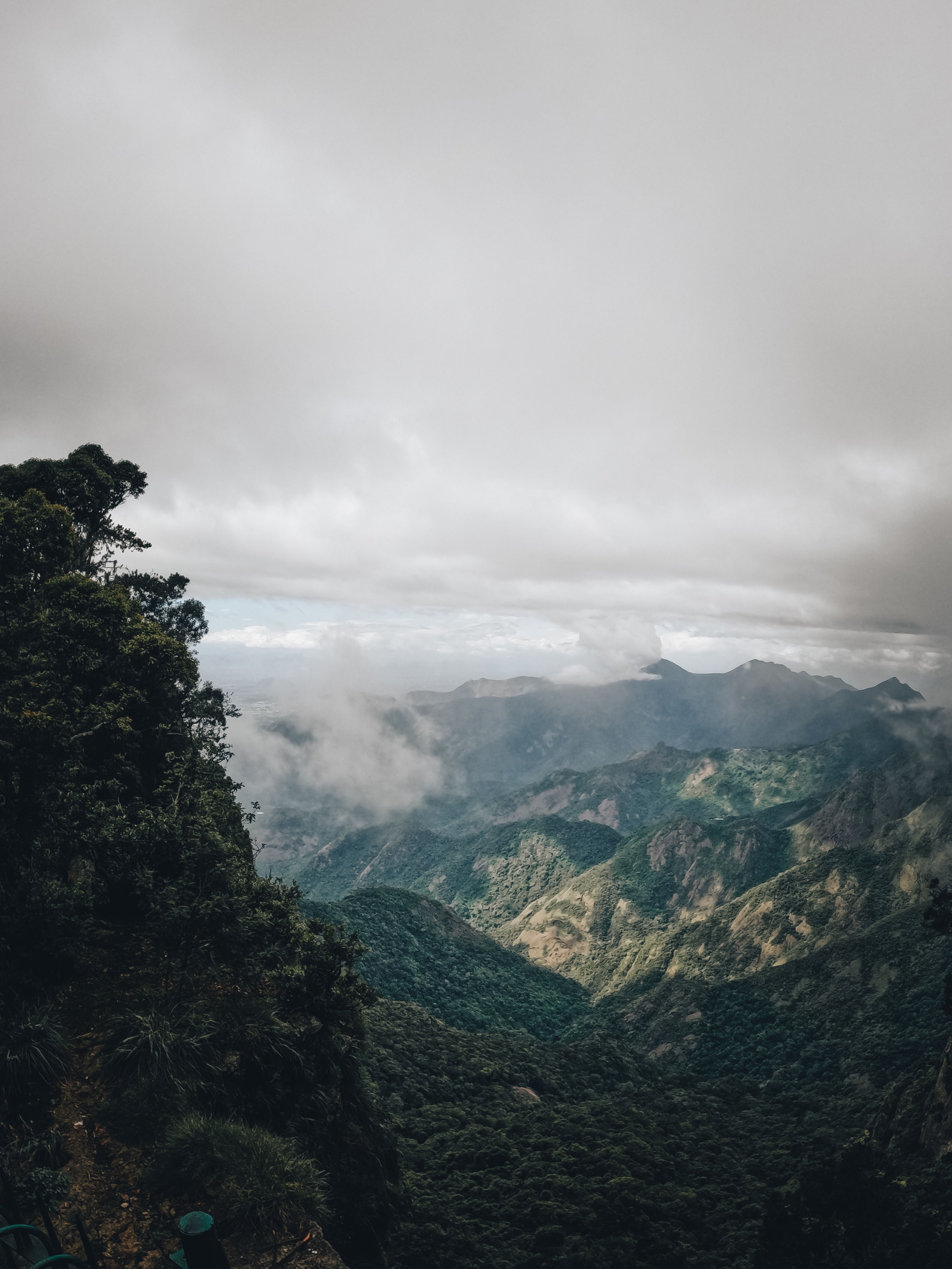 Experience the Wild – Kodaikanal Adventure (Forest Survival Training Program)