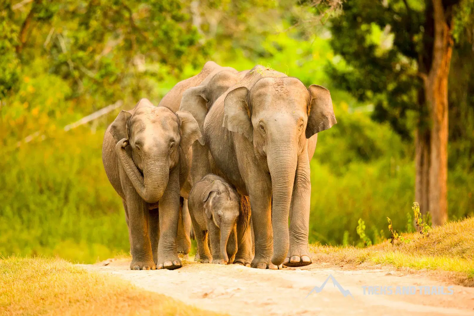 Bandipur
