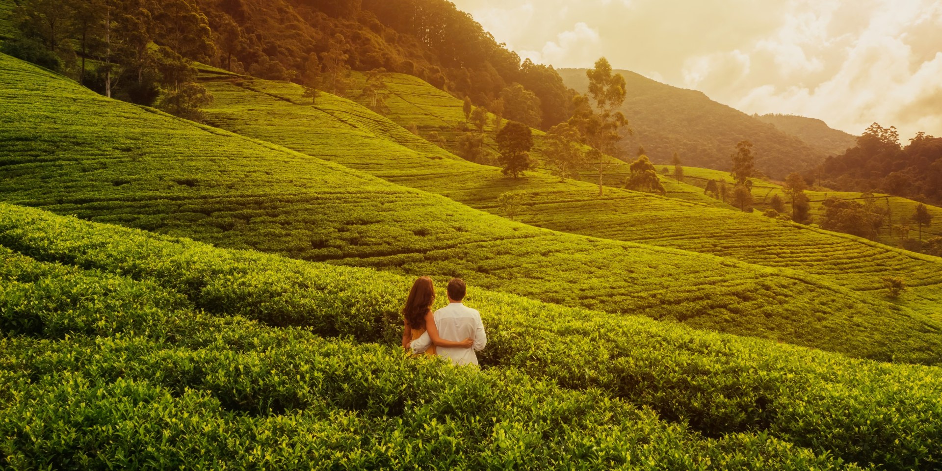 Ooty Premium Honeymoon Package
